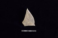 藏品(陶片)的圖片